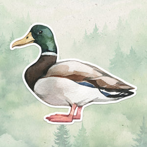 Duck sticker, Waterproof vinyl decal, Animal lover gifts - SoulFamiliar