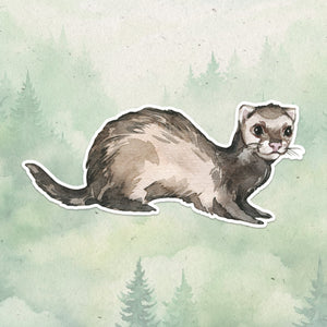 Ferret sticker, Waterproof vinyl decal, Animal lover gifts - SoulFamiliar