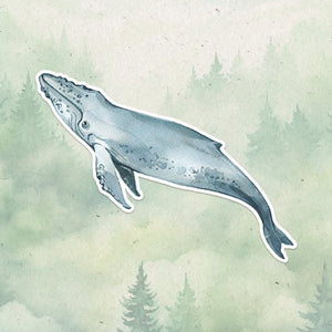 Humpback whale sticker, Waterproof vinyl decal, Whale sticker - SoulFamiliar