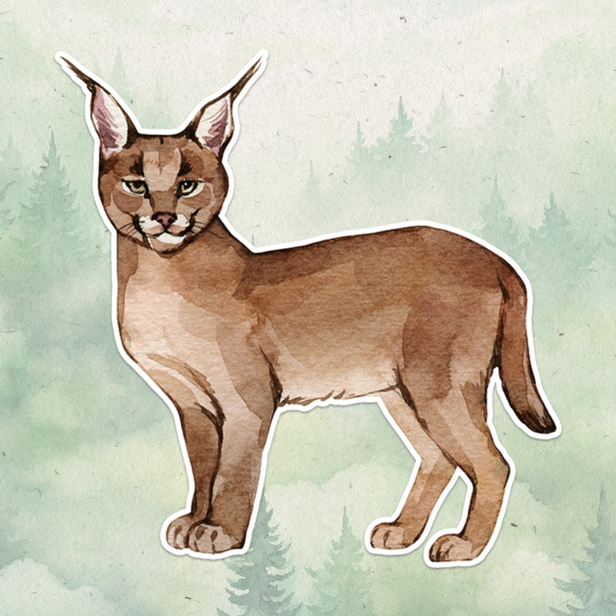 Caracal sticker, Waterproof vinyl decal, Animal lover gifts - SoulFamiliar