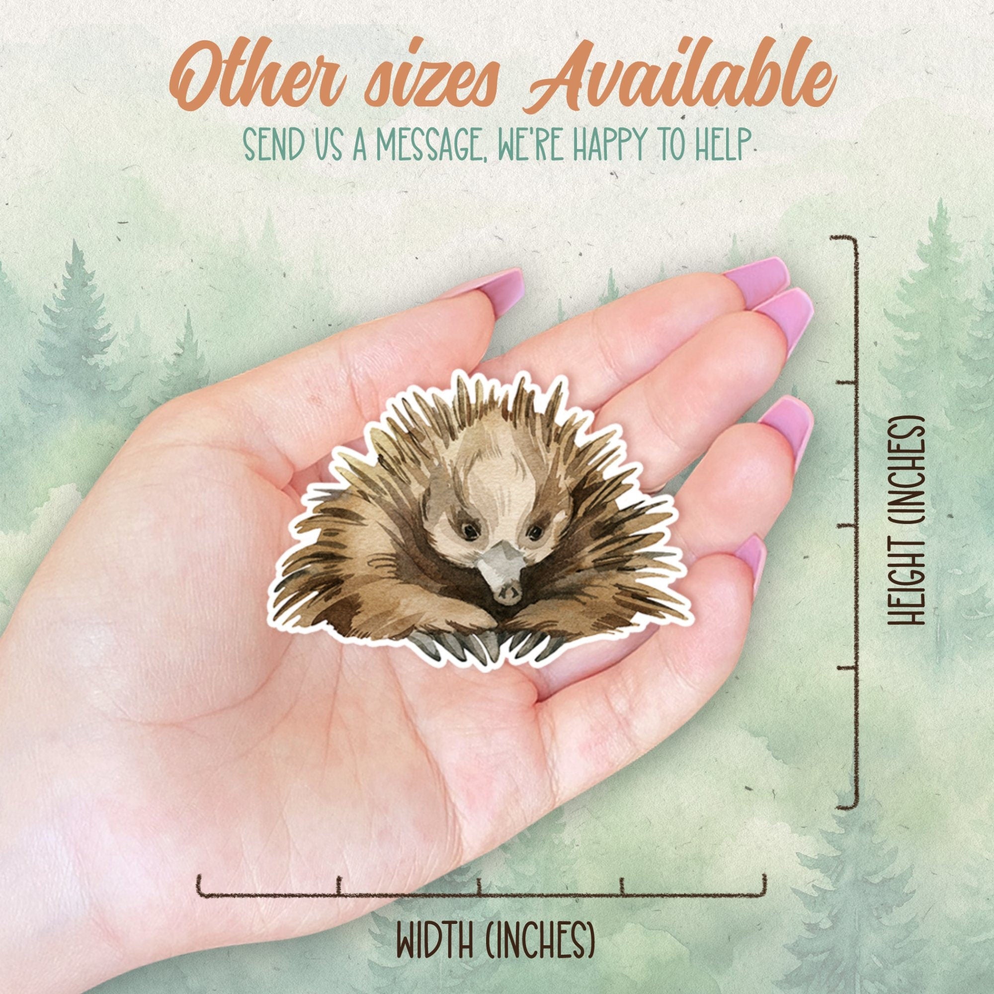 Echidna sticker, Waterproof vinyl decal, Animal lover gifts - SoulFamiliar