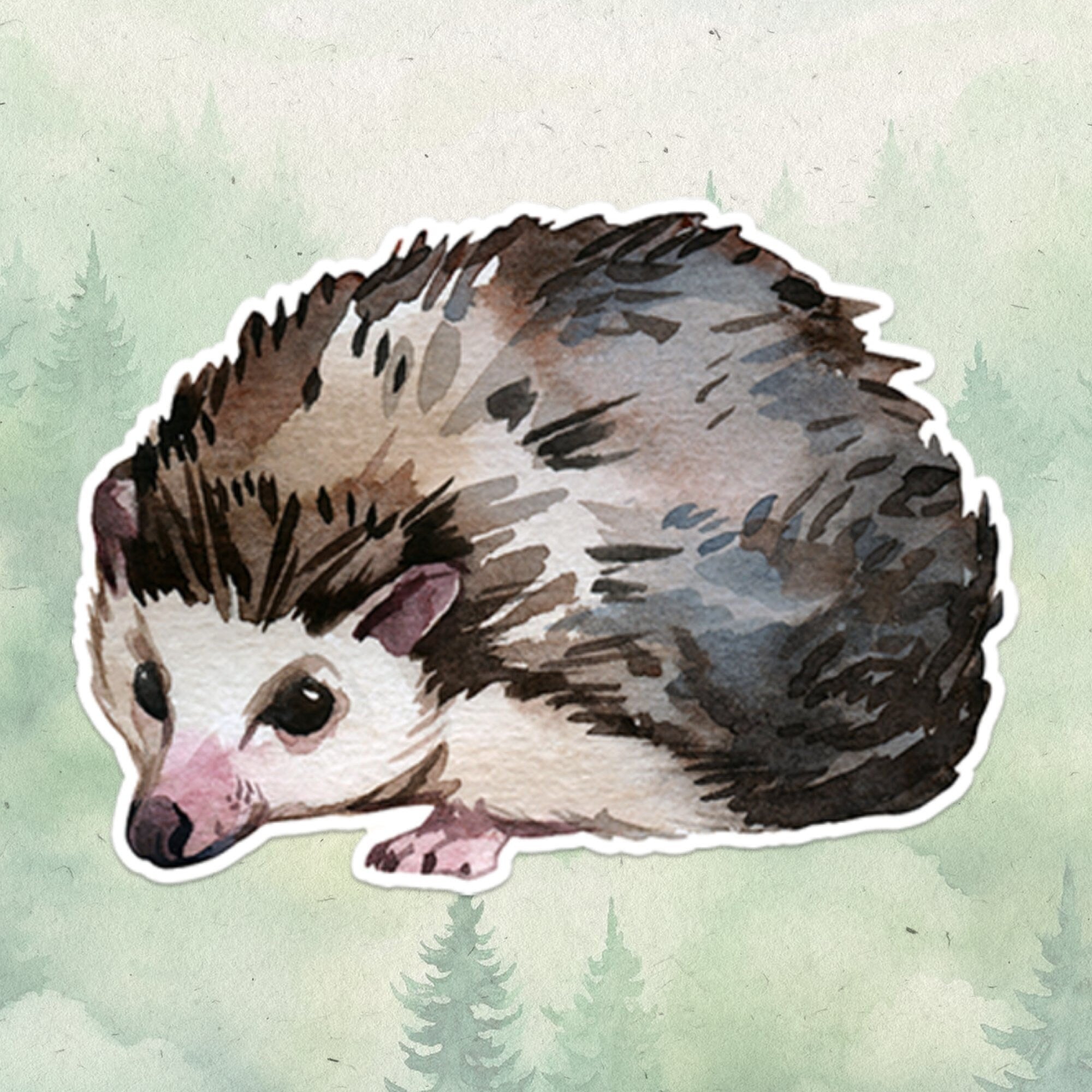 Hedgehog sticker, Waterproof vinyl decal, Animal lover gifts - SoulFamiliar