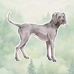 Weimaraner sticker, Waterproof vinyl decal, Dog sticker - SoulFamiliar