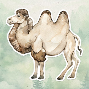 Bactrian camel sticker, Waterproof vinyl decal, Camel sticker - SoulFamiliar