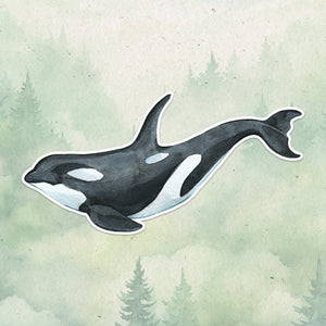 Orca sticker, Waterproof vinyl decal, Animal lover gifts - SoulFamiliar