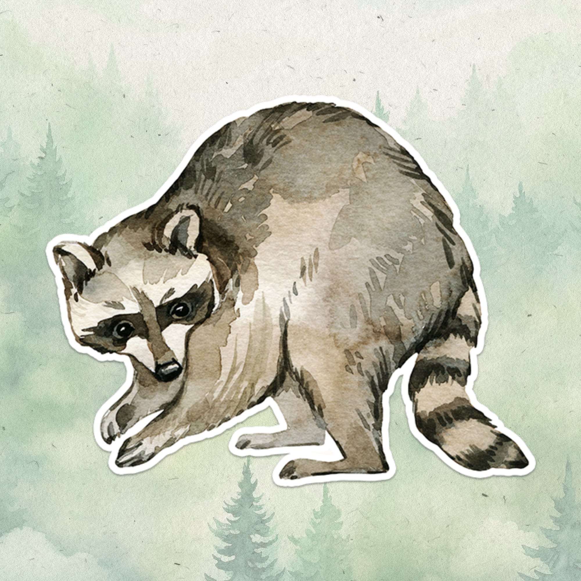 Raccoon sticker, Waterproof vinyl decal, Animal lover gifts - SoulFamiliar