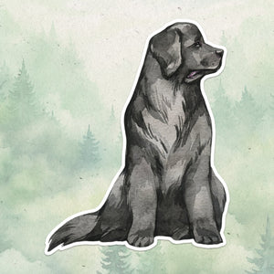 Newfoundland sticker, Waterproof vinyl decal, Dog sticker - SoulFamiliar