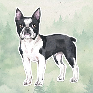 Boston Terrier sticker, Waterproof vinyl decal, Dog sticker - SoulFamiliar